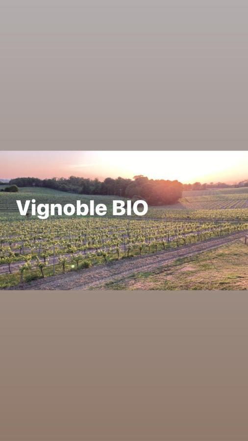 Gite Les Vignes Cravenceres Exteriör bild