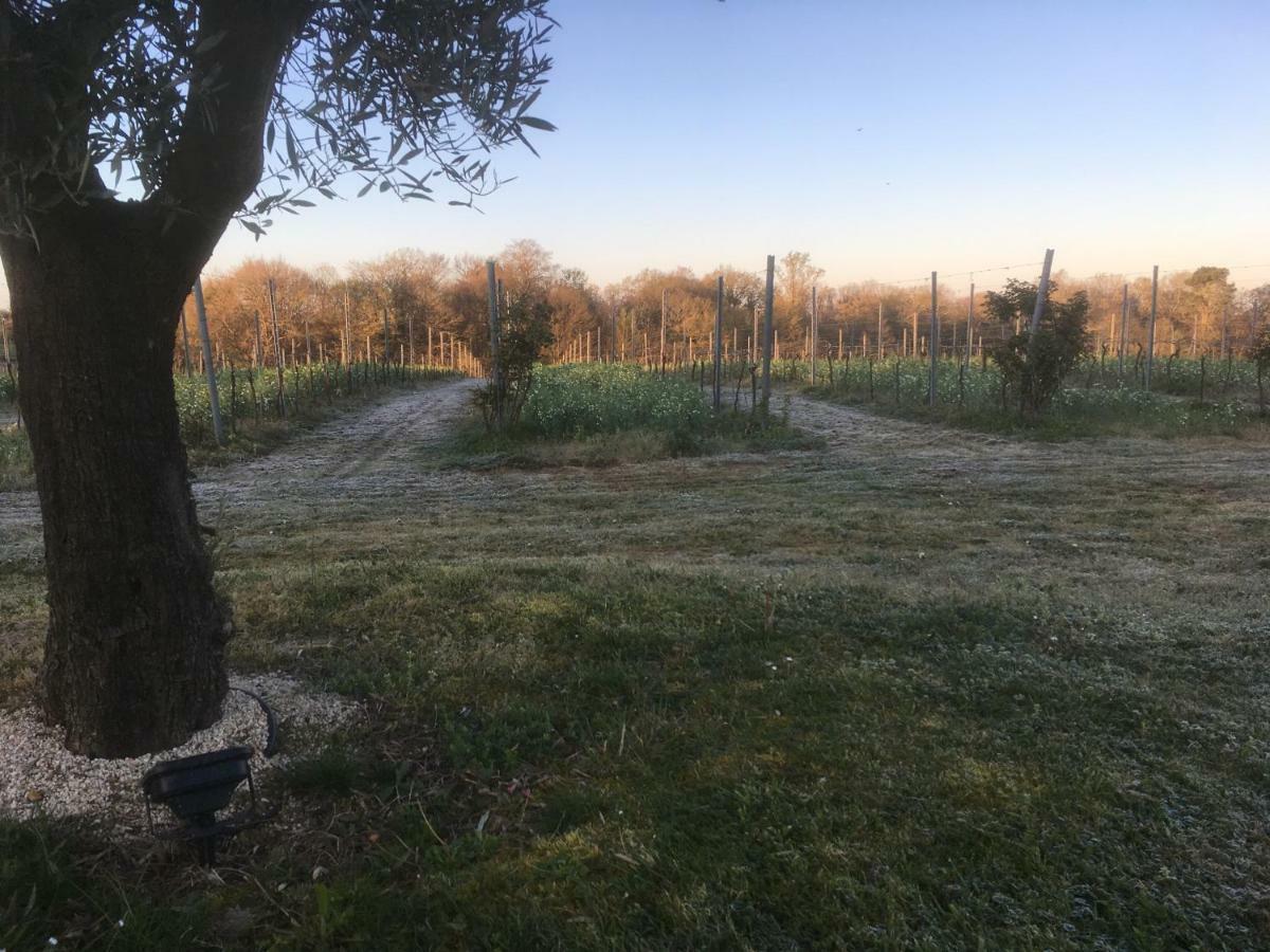 Gite Les Vignes Cravenceres Exteriör bild